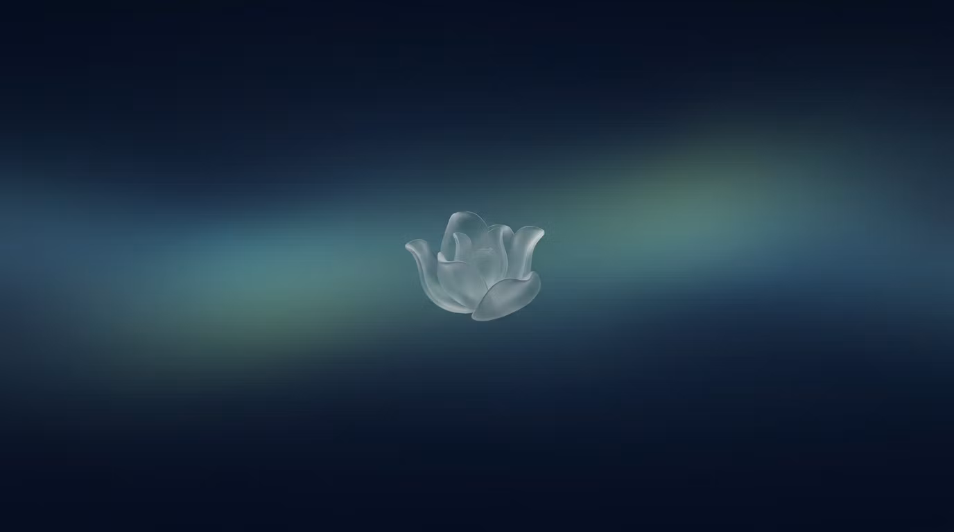 Bloom Society
