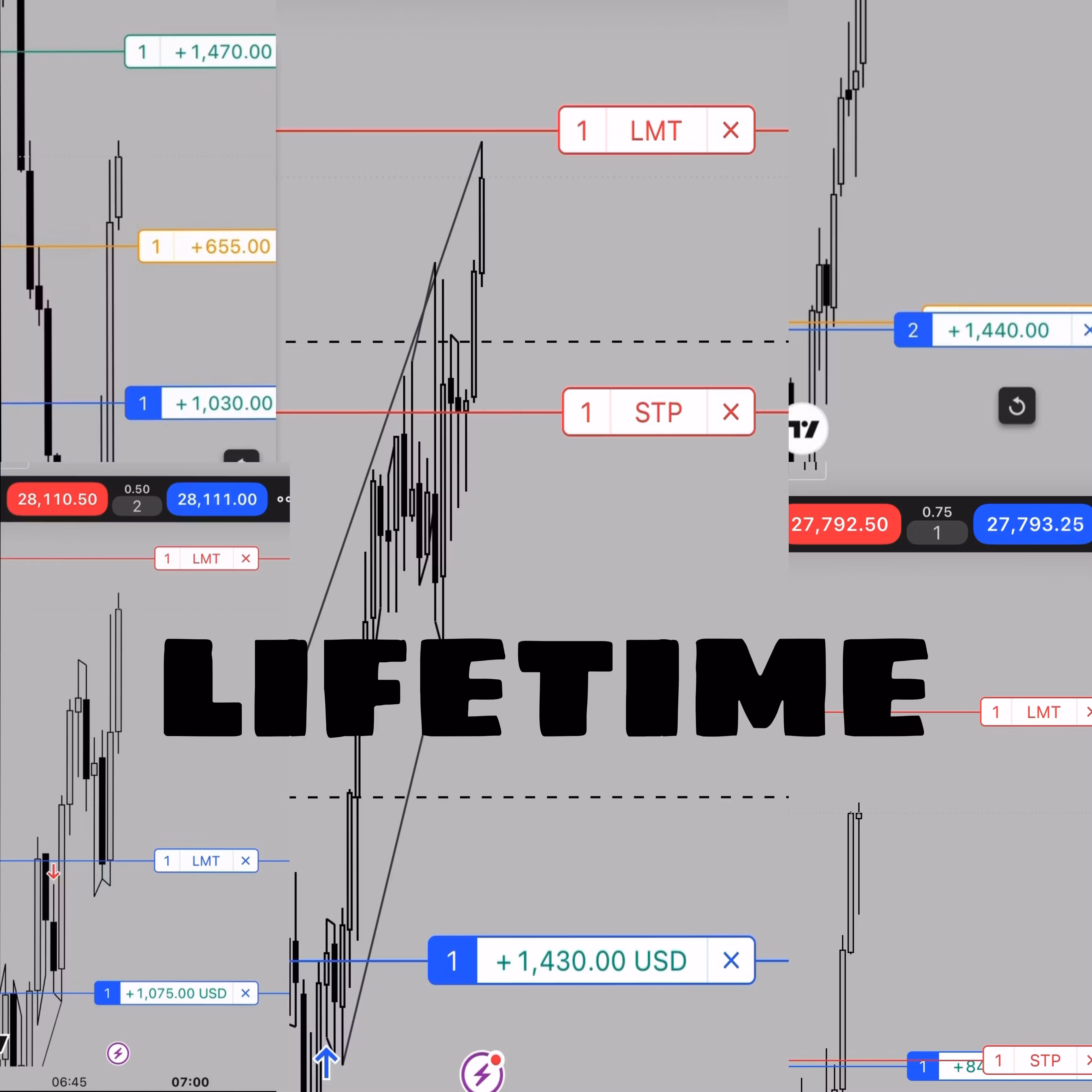 Precision Lifetime