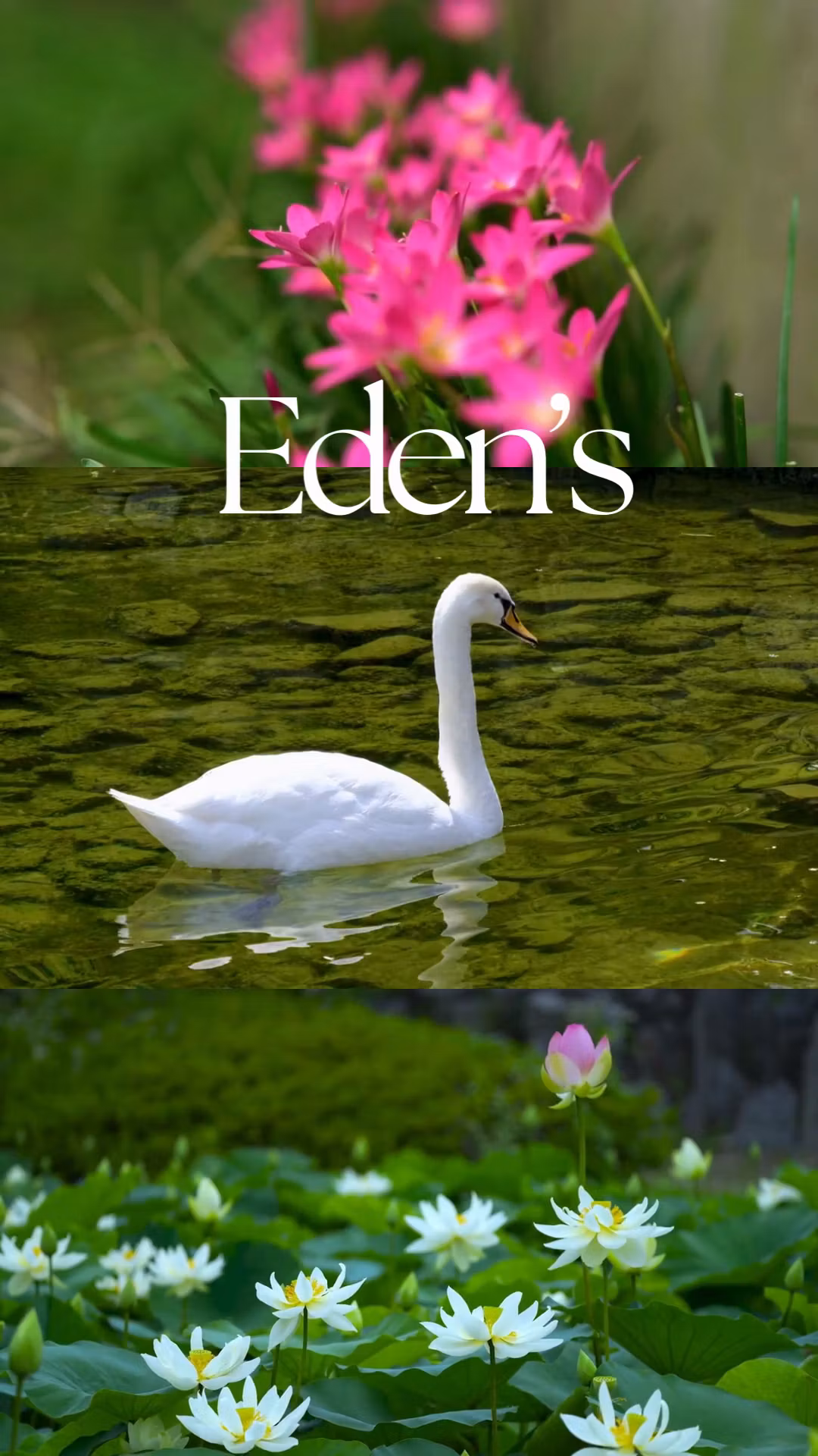Eden's Welcome Community Access