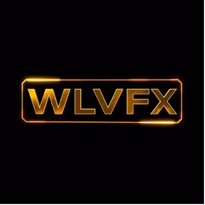  WLVFX ACADEMY