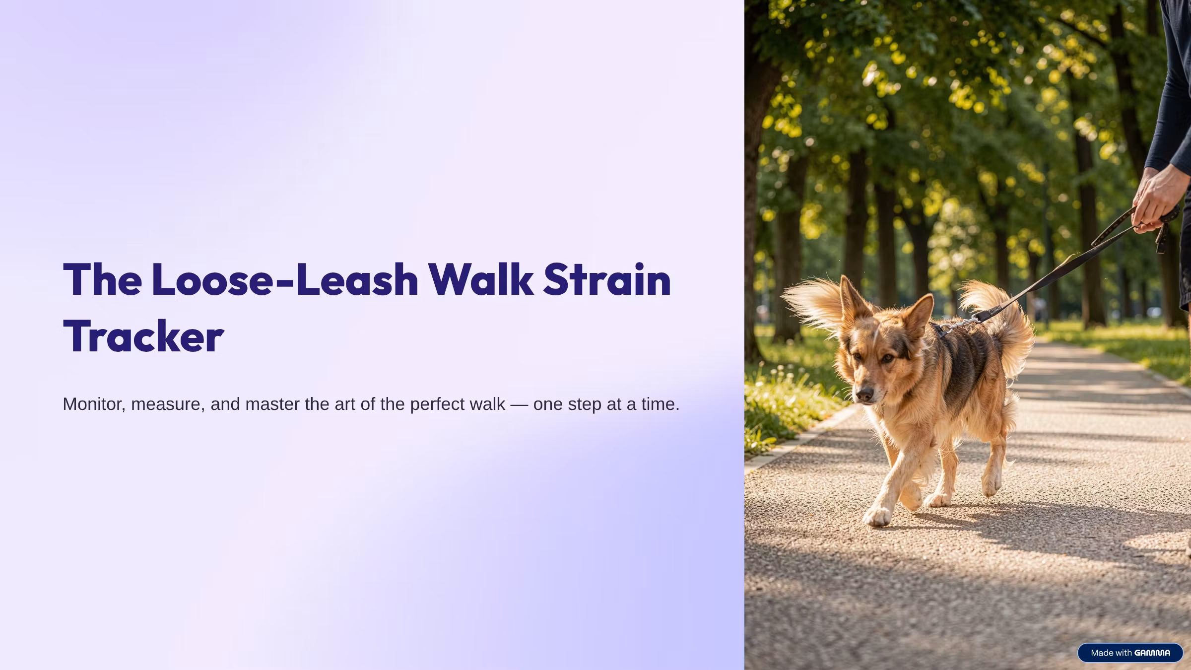 The Loose-Leash Walk Strain Tracker