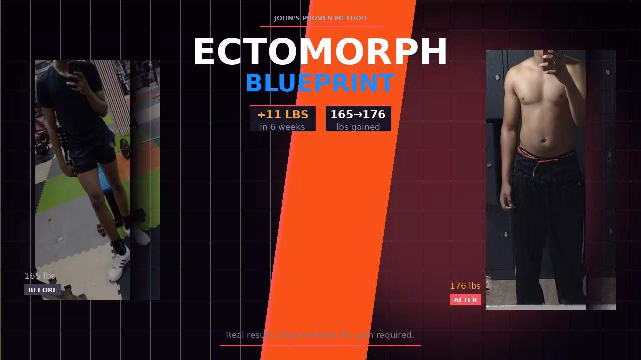The Ectomorph Blueprint 