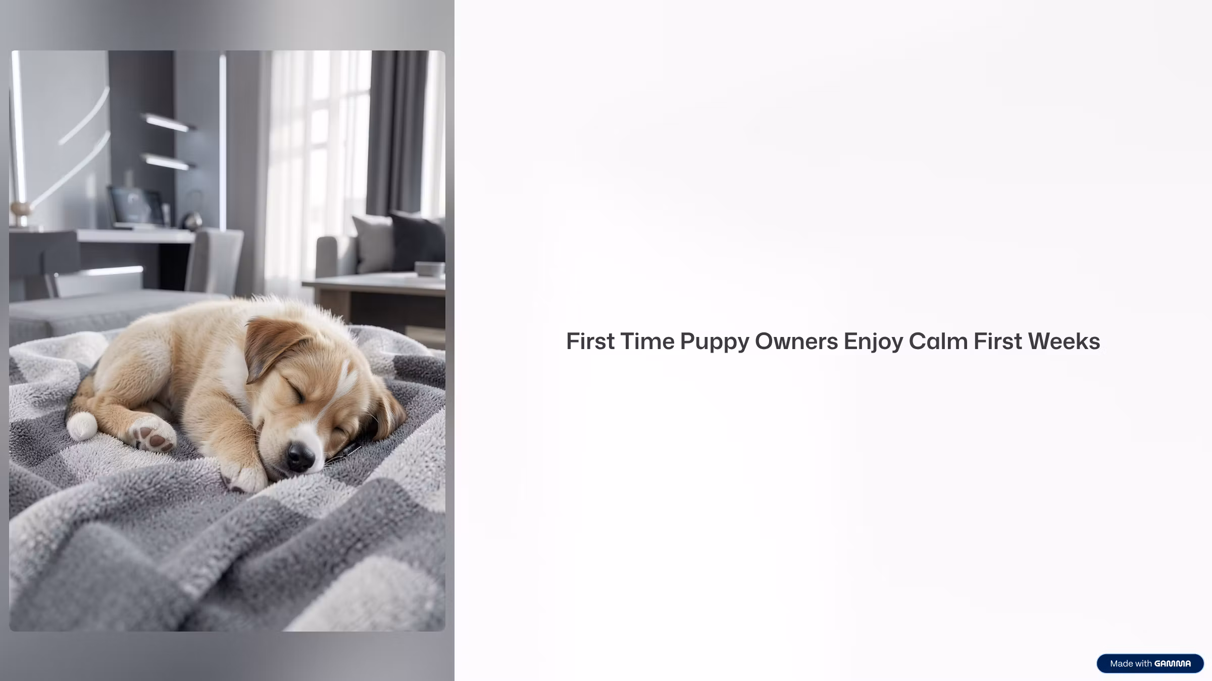 First Time Puppy Owners Enjoy Calm First