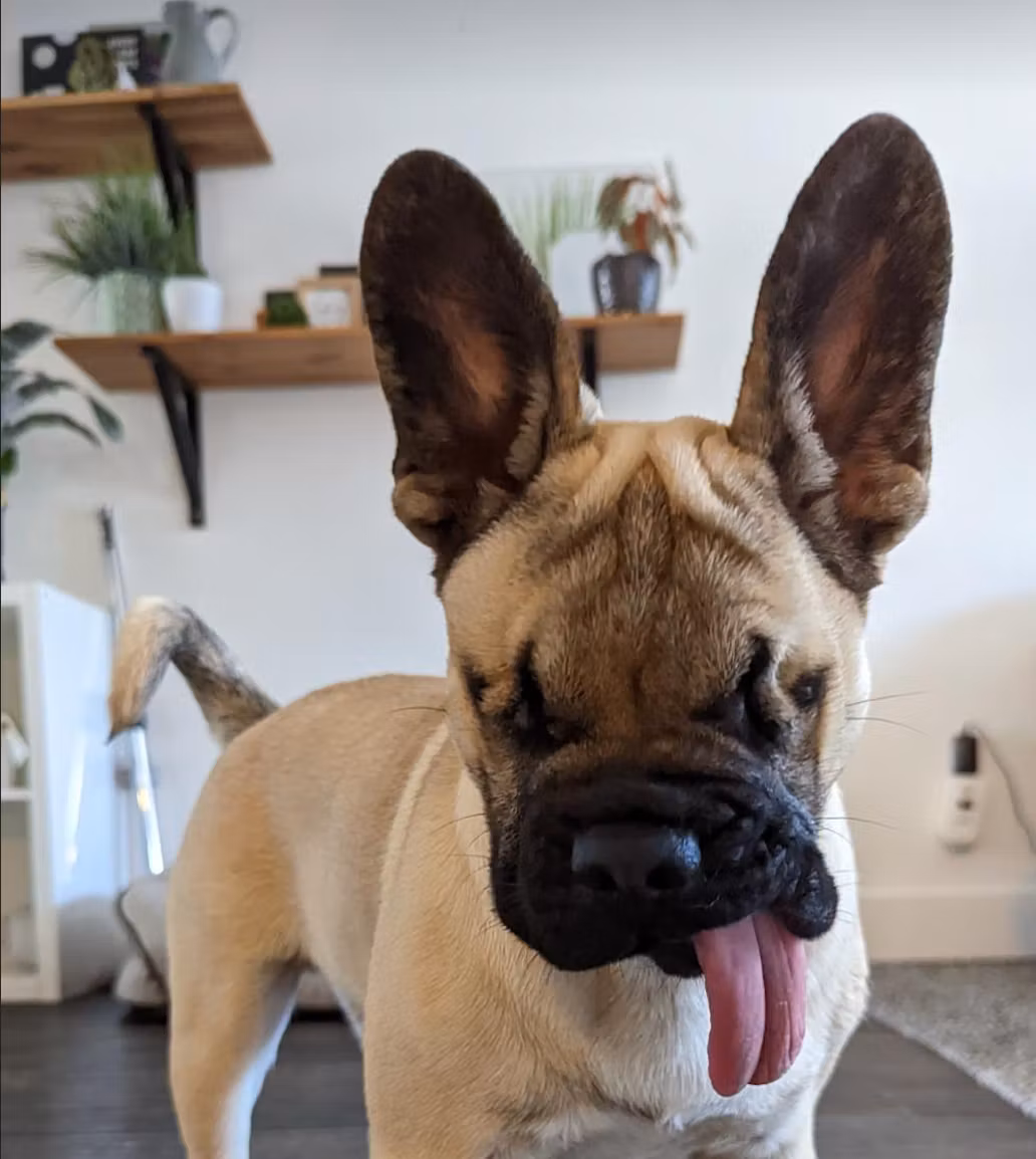 By Beans a treat