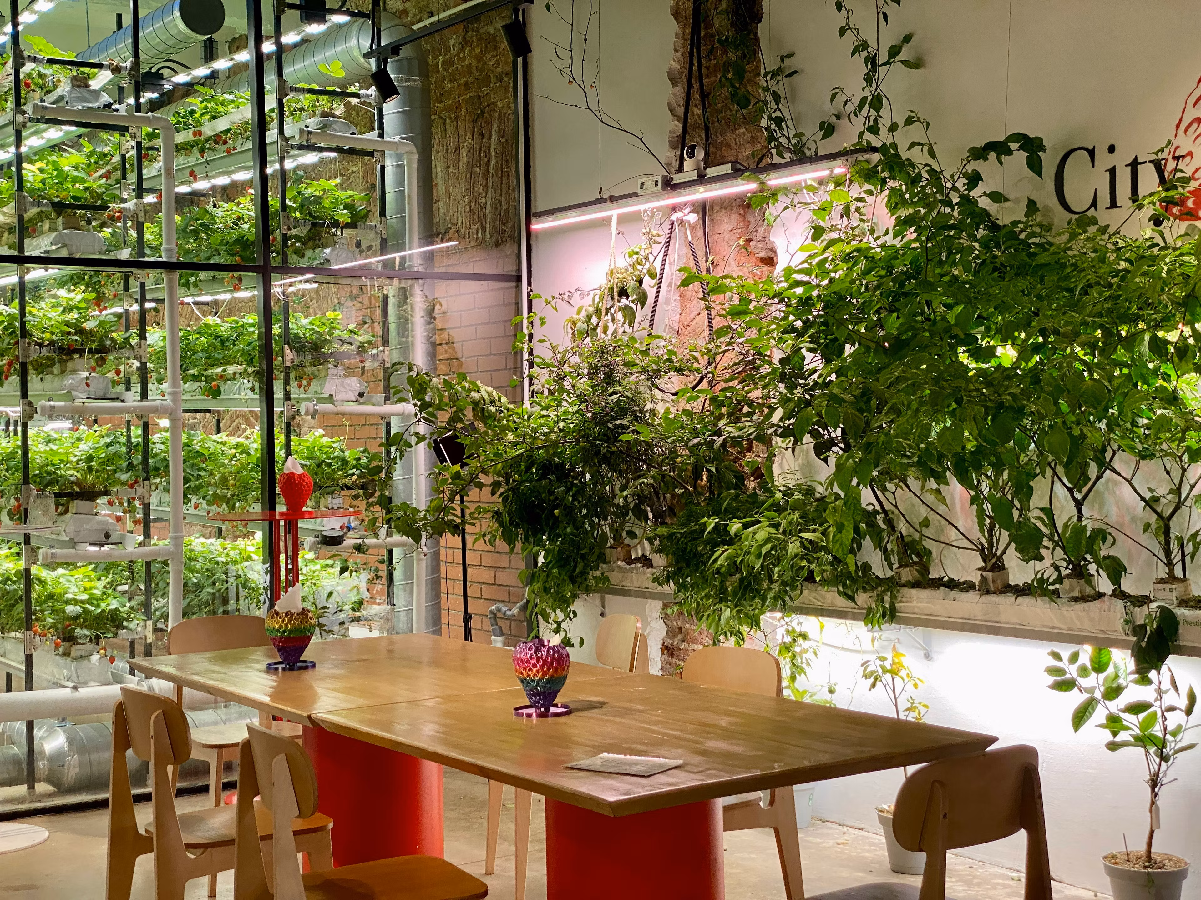 How to Hydroponic