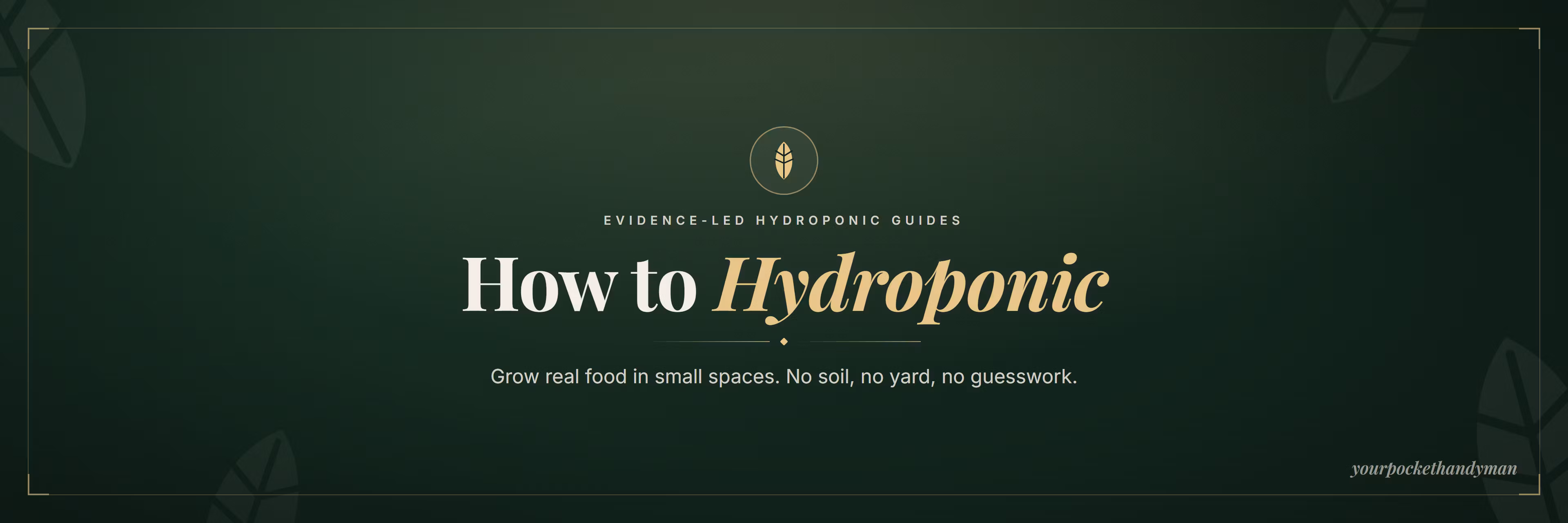 How to Hydroponic