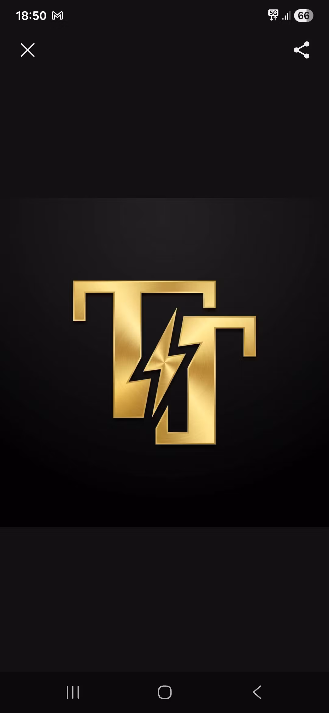 TT tips