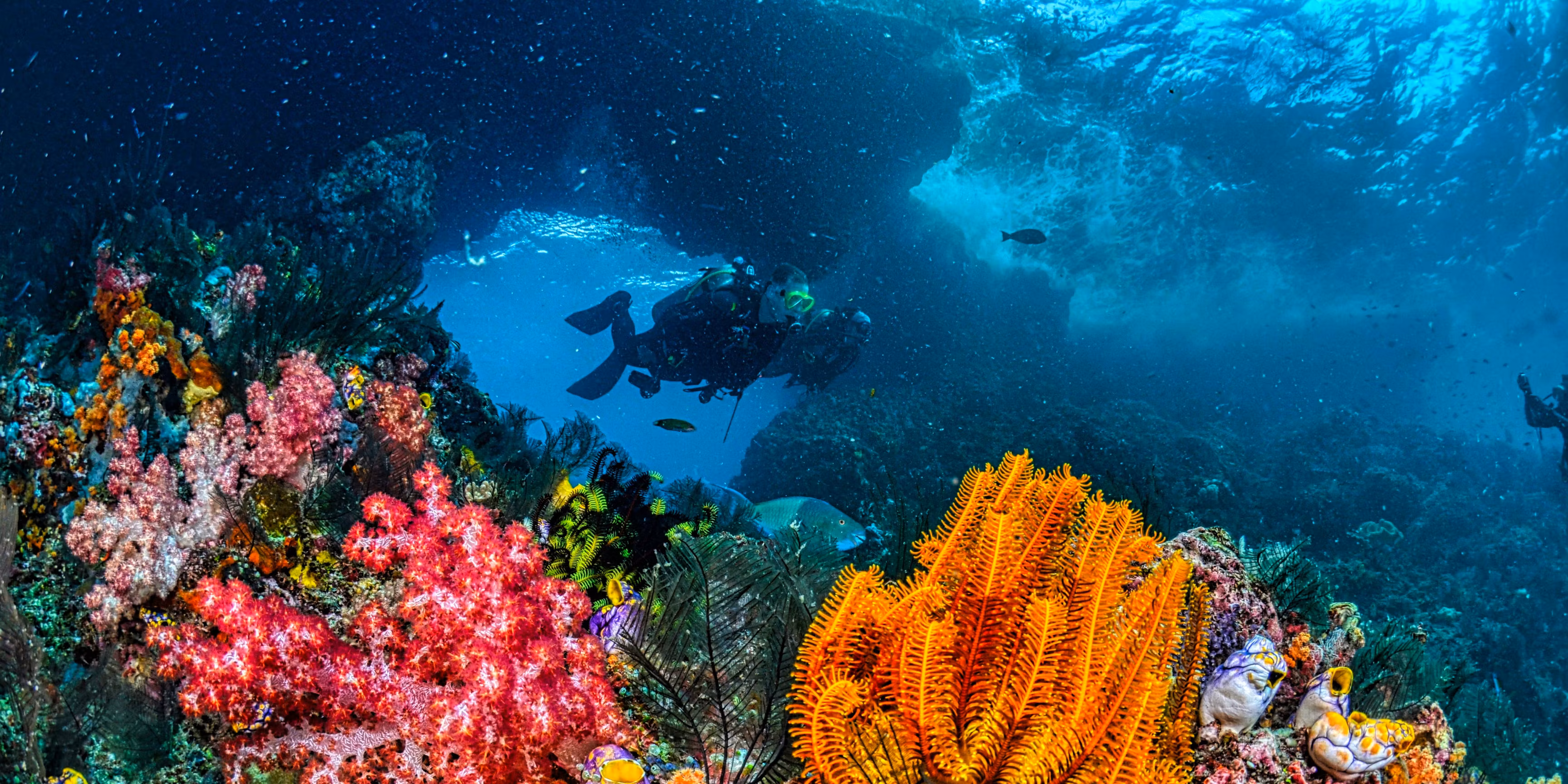 Descubre el mar