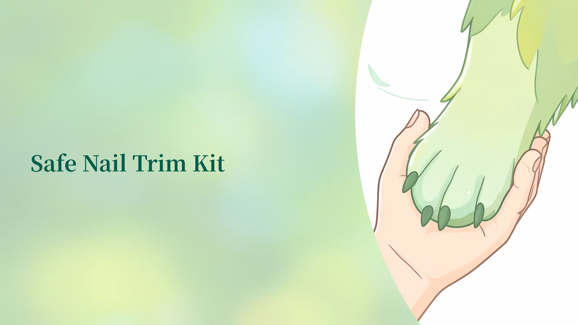 Safe Nail Trim Kit