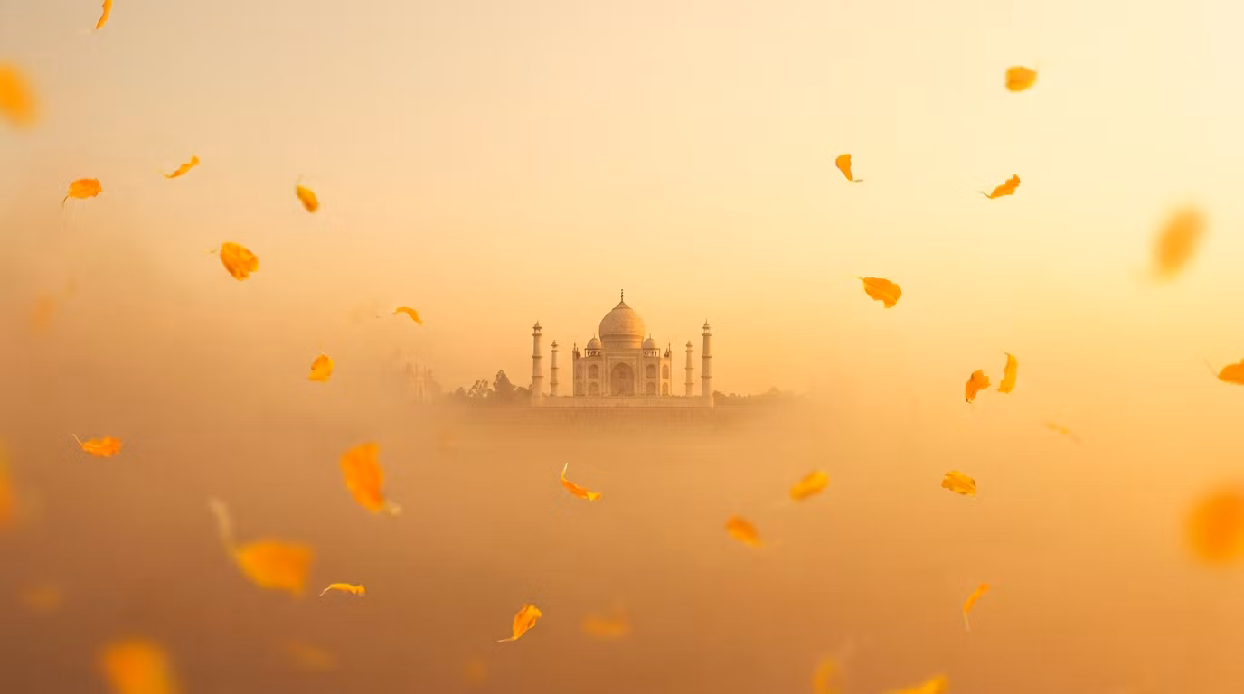 Namaste VIP Society