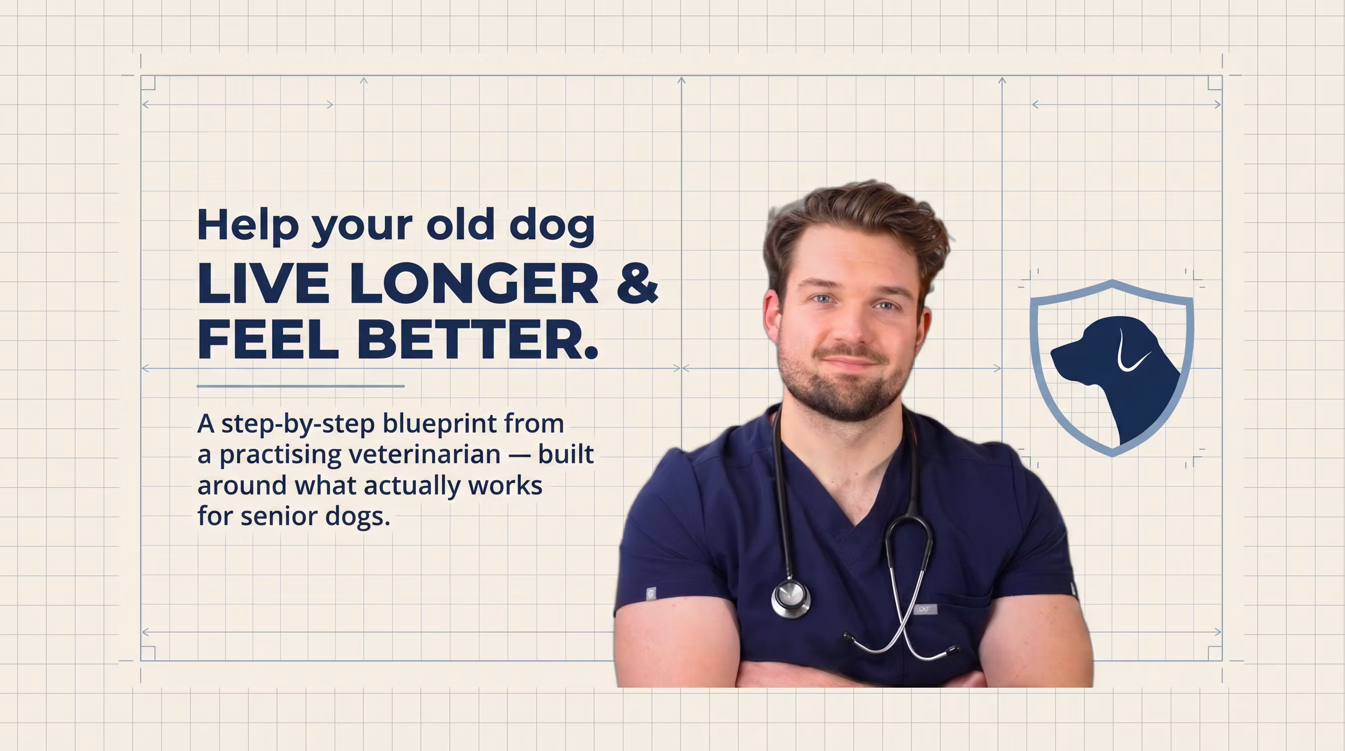 Senior Dog Education