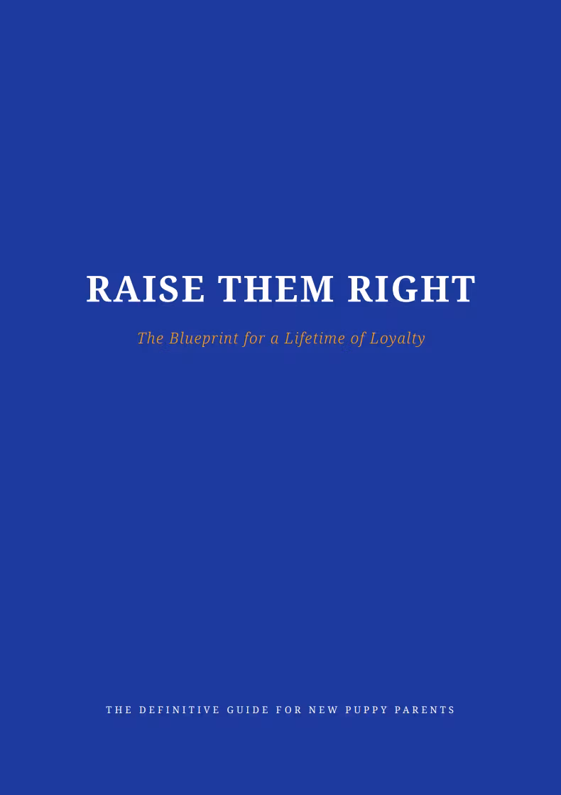 Raise The Puppy Right