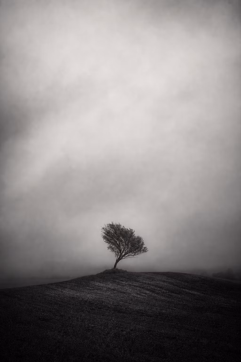 ROOMFIELD: The Still Collection