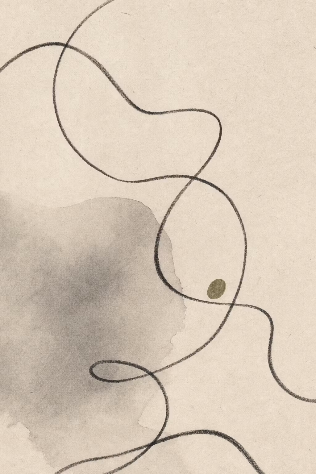 ROOMFIELD: The Line Collection