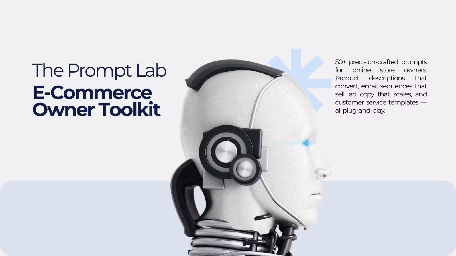 E-Commerce Owner AI Toolkit