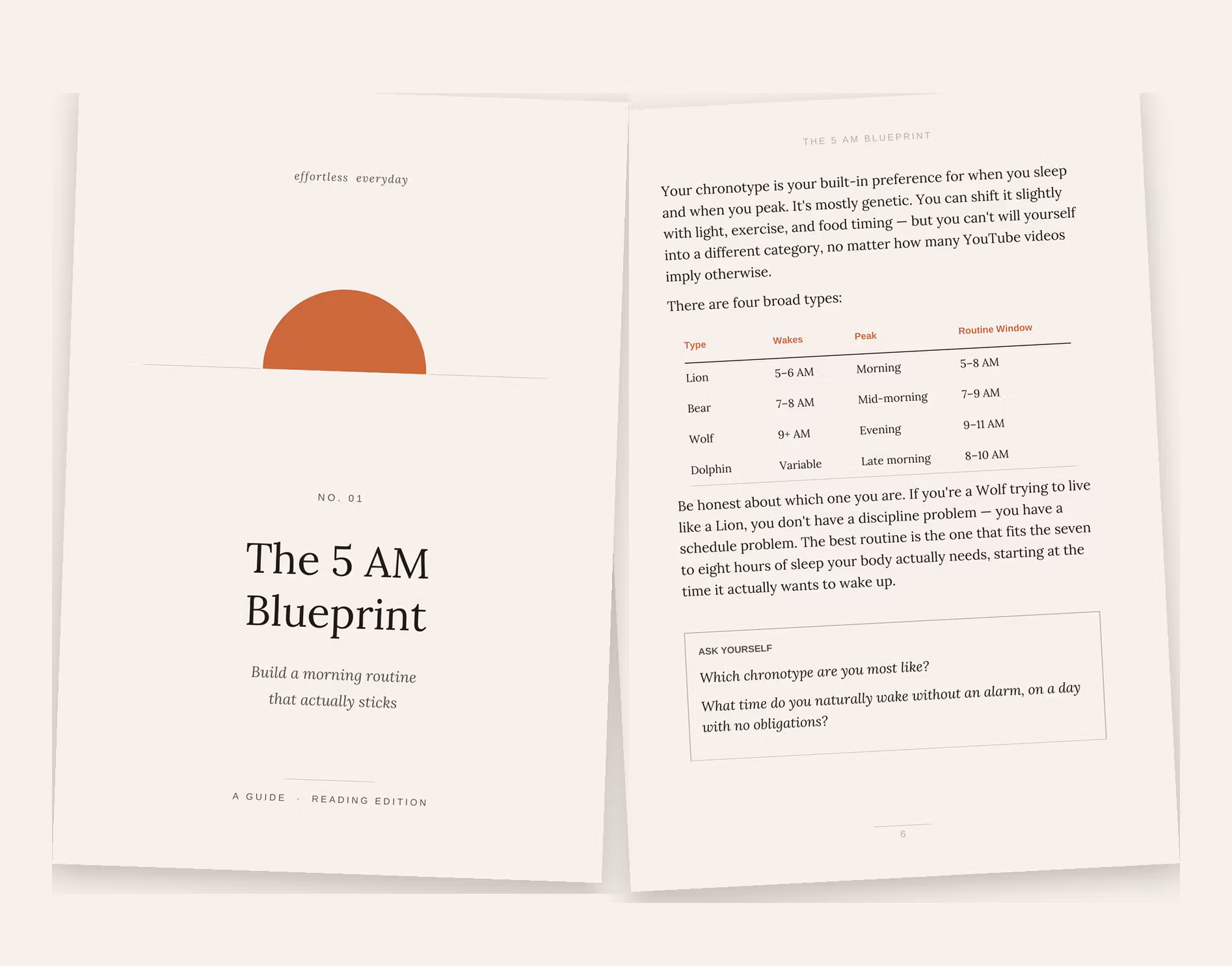 The 5AM Blueprint
