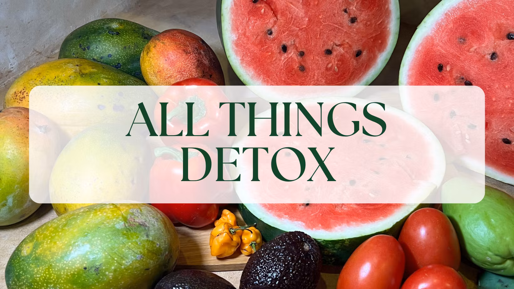 Detox Academy