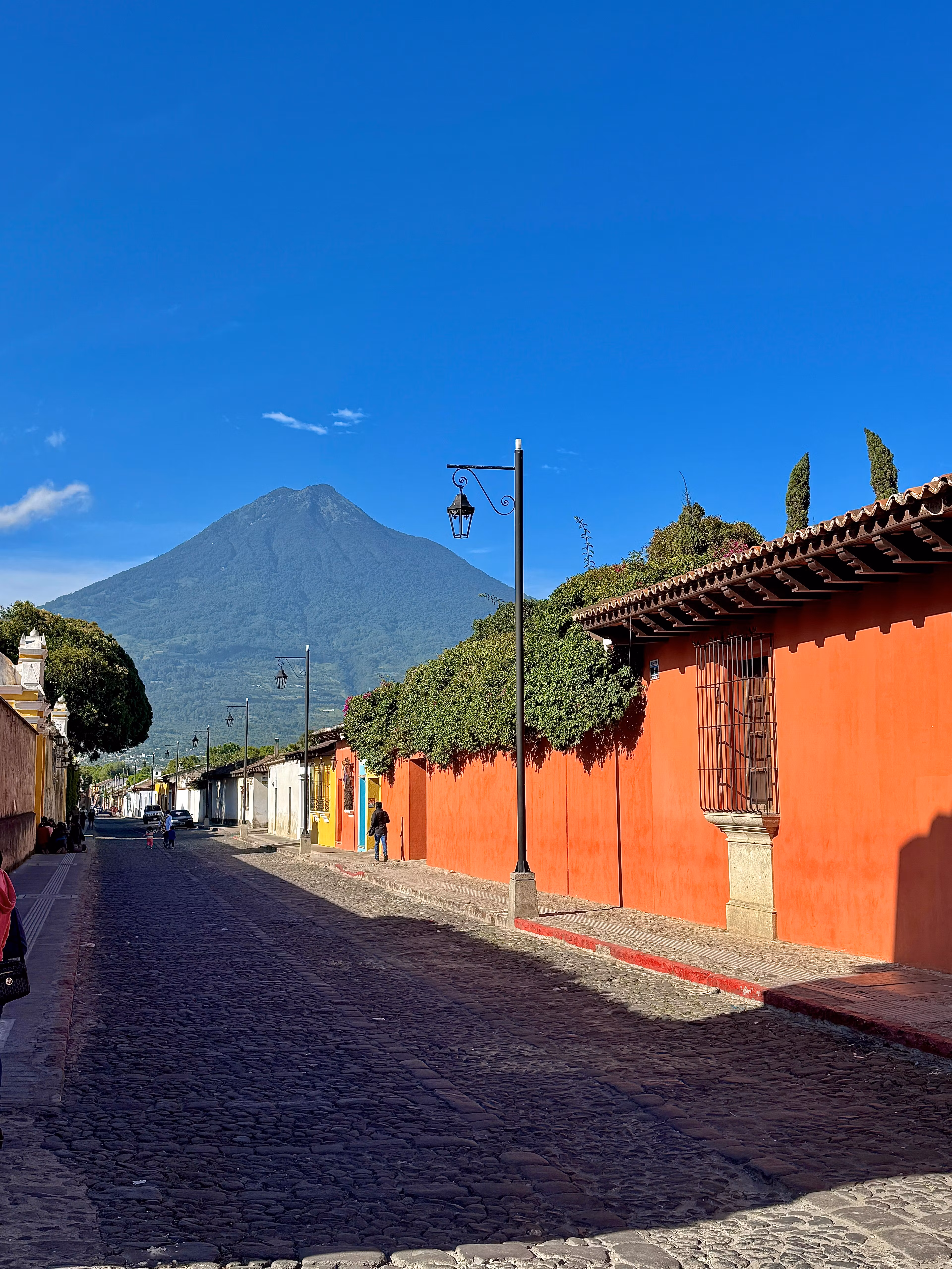 Free Latin Travel Essentials