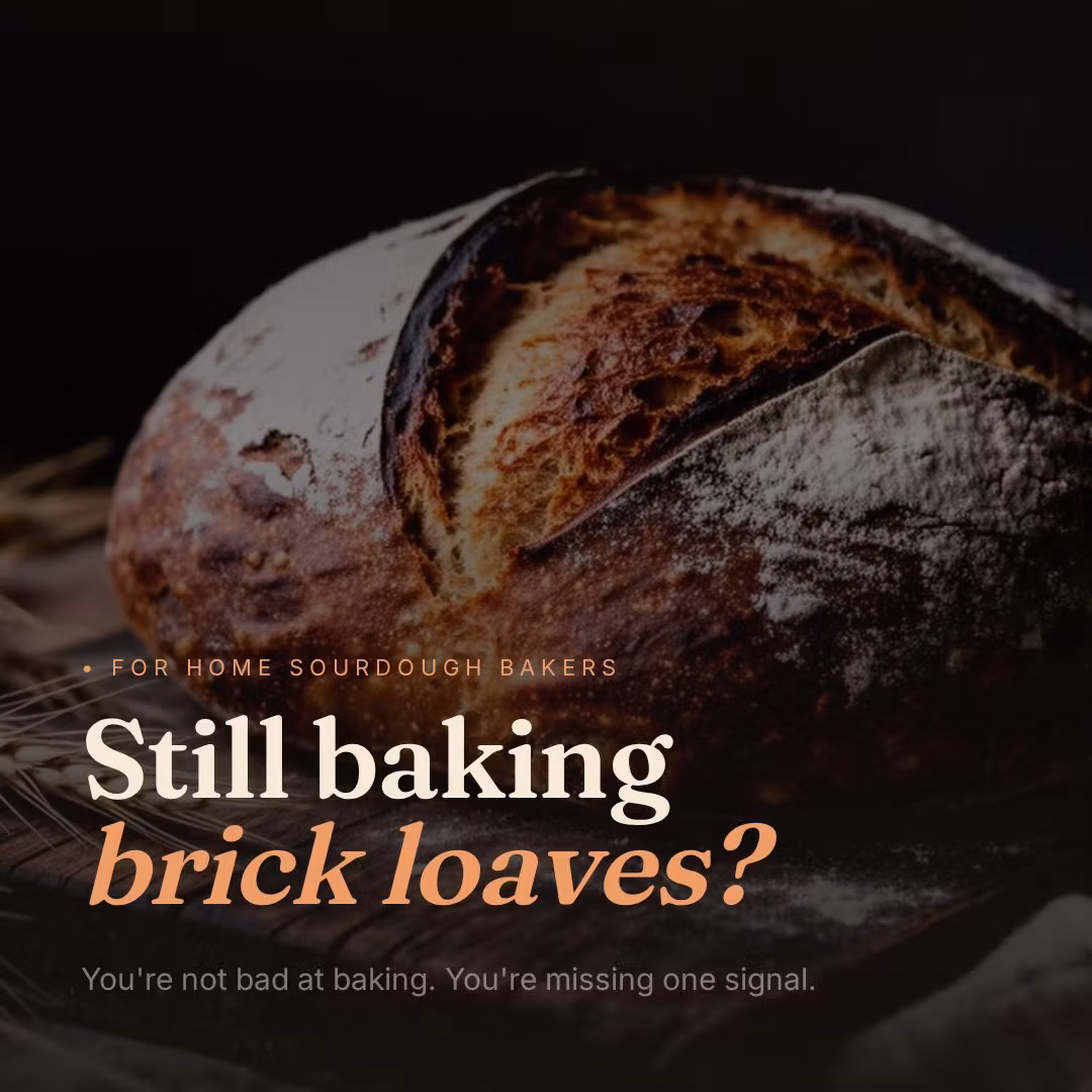 No Fail Sourdough