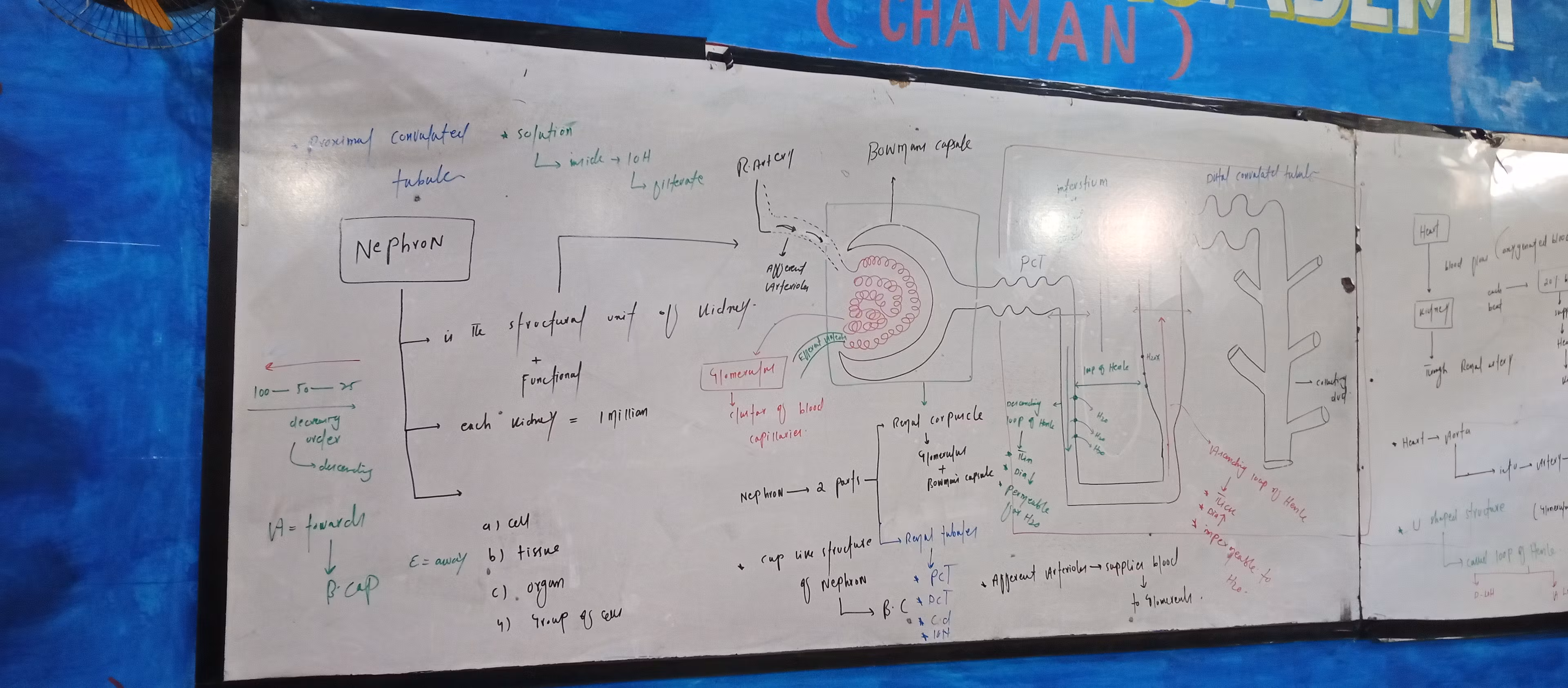 Shaheen Study Guide