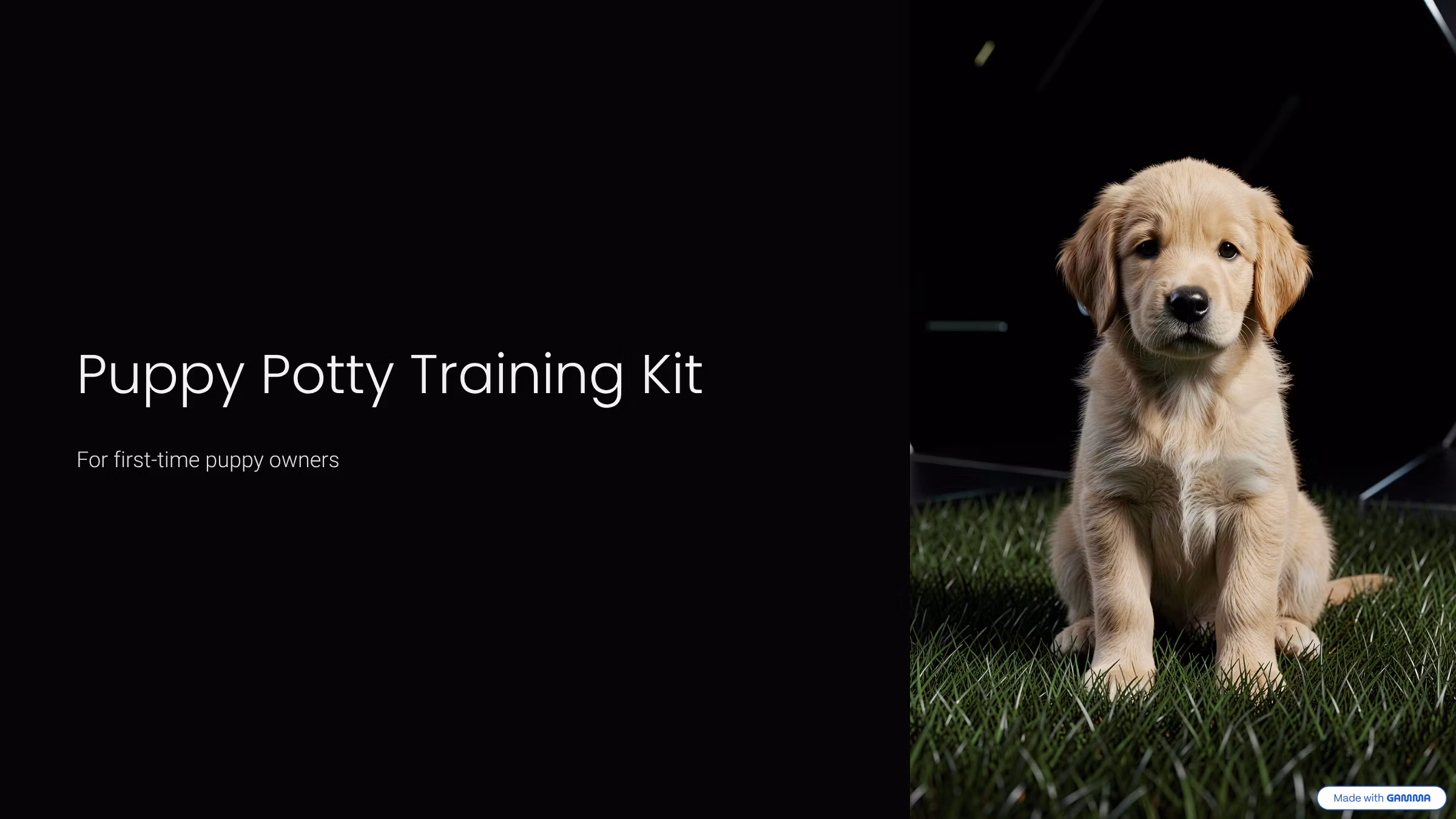 Puppy Potty Training Kit