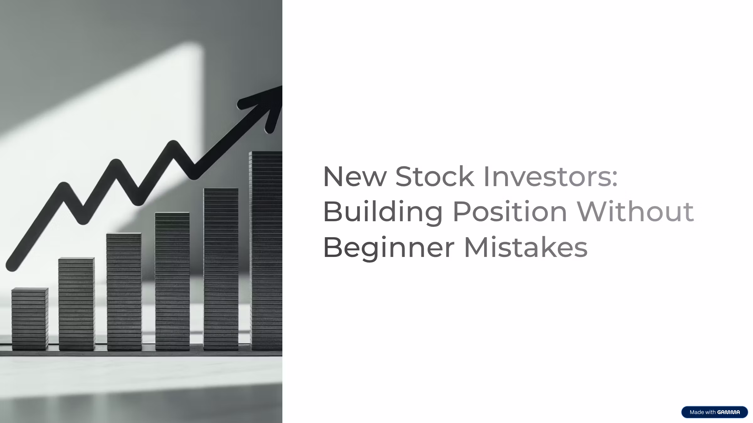 New Stock Investors