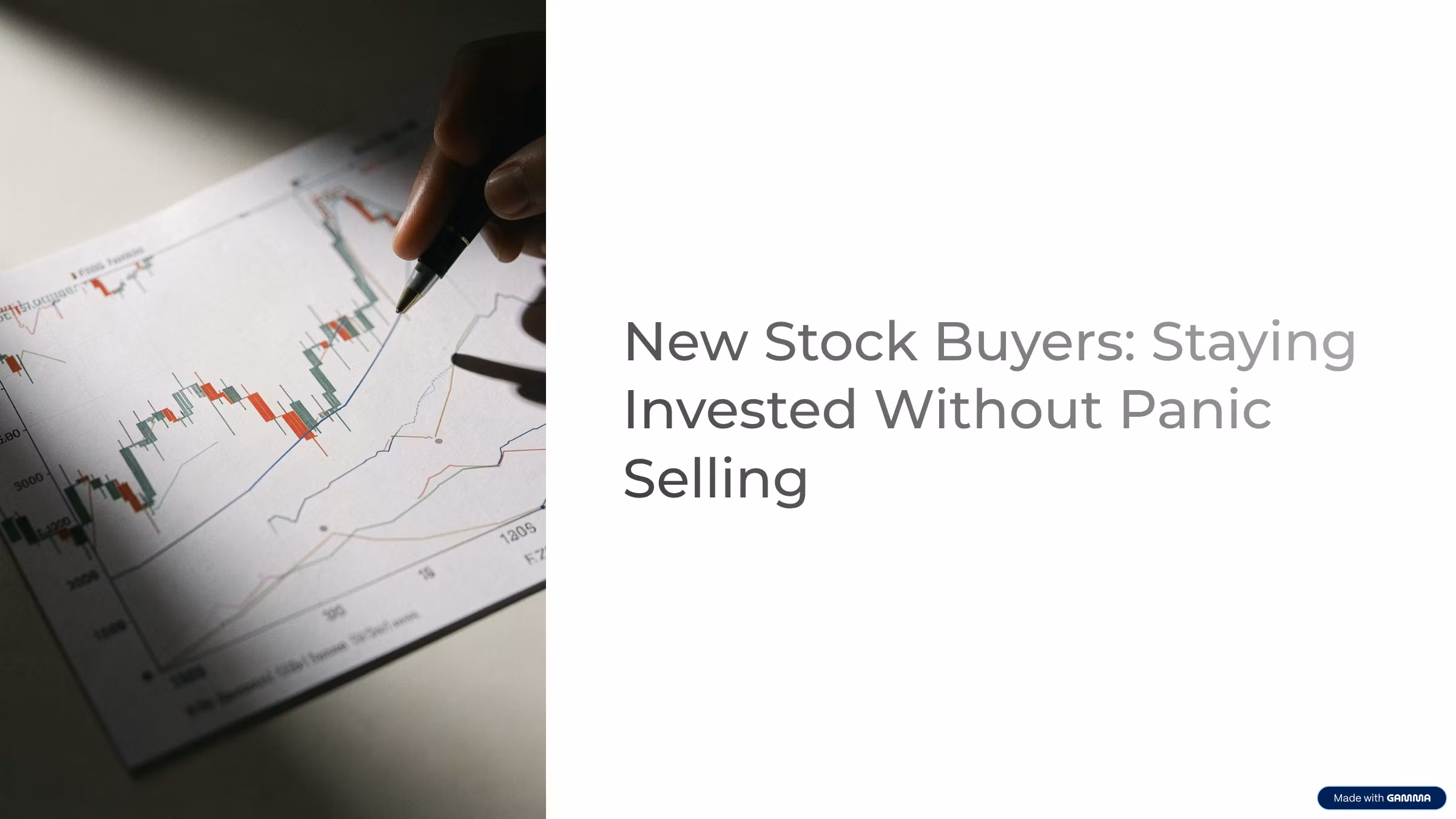The Market Drop Decision Vault