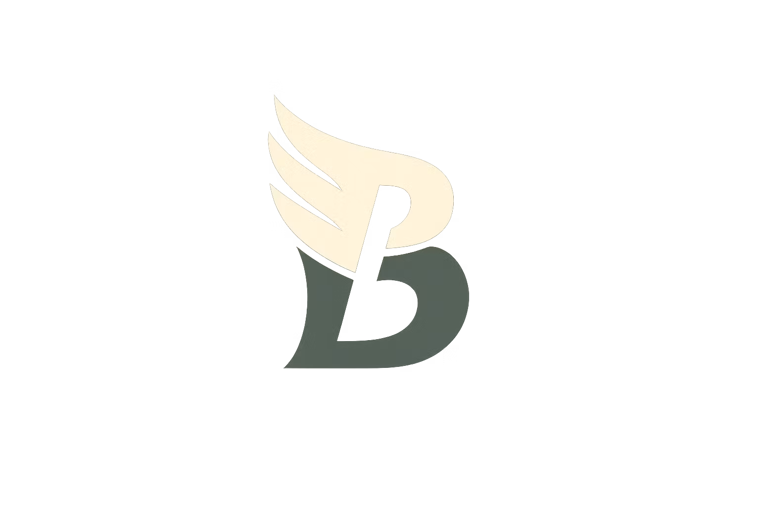 Birdie ACO