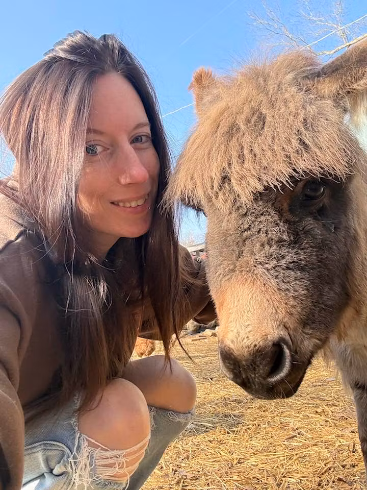 First Time Donkey Owners