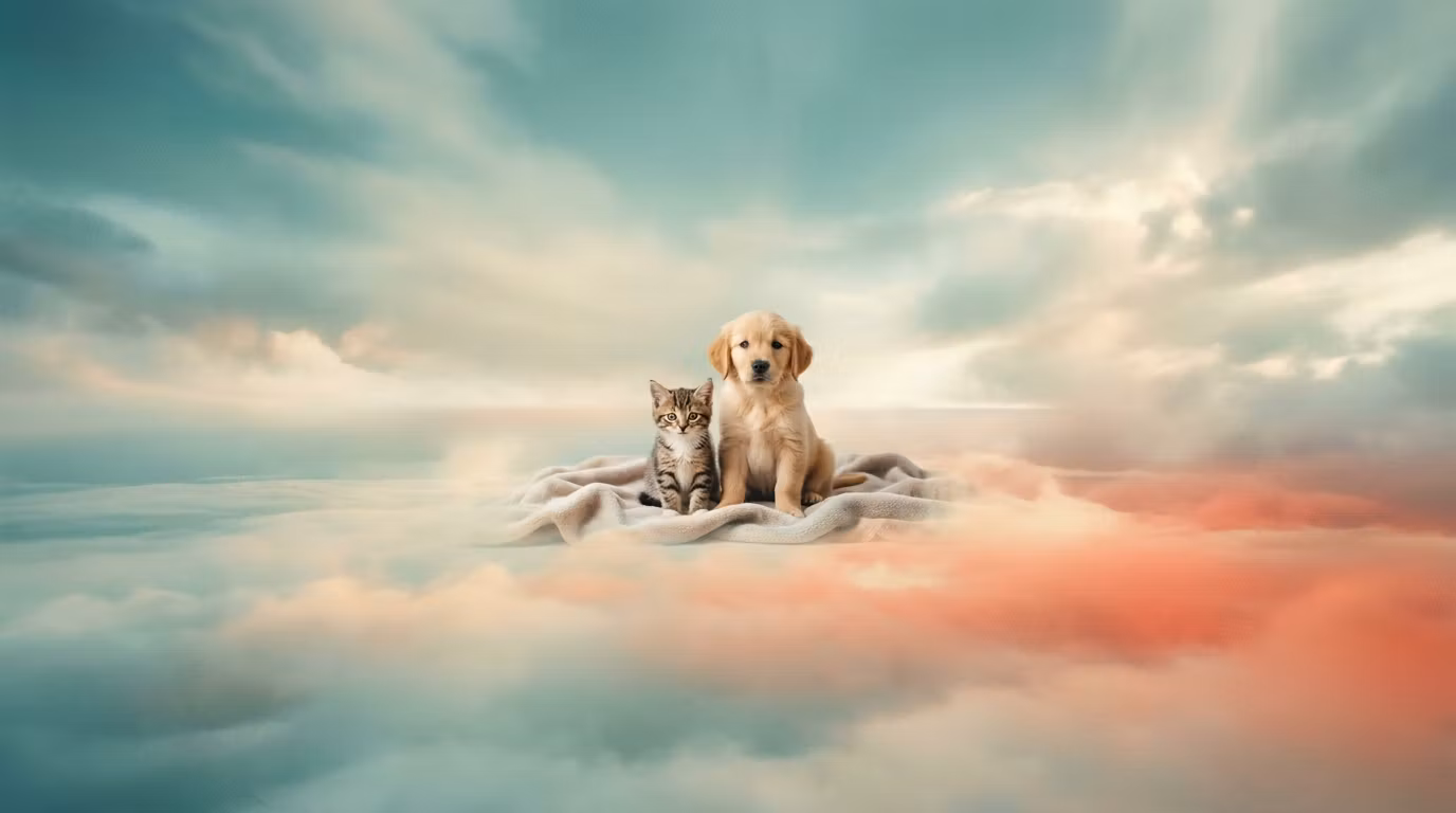 Pet Care Pro