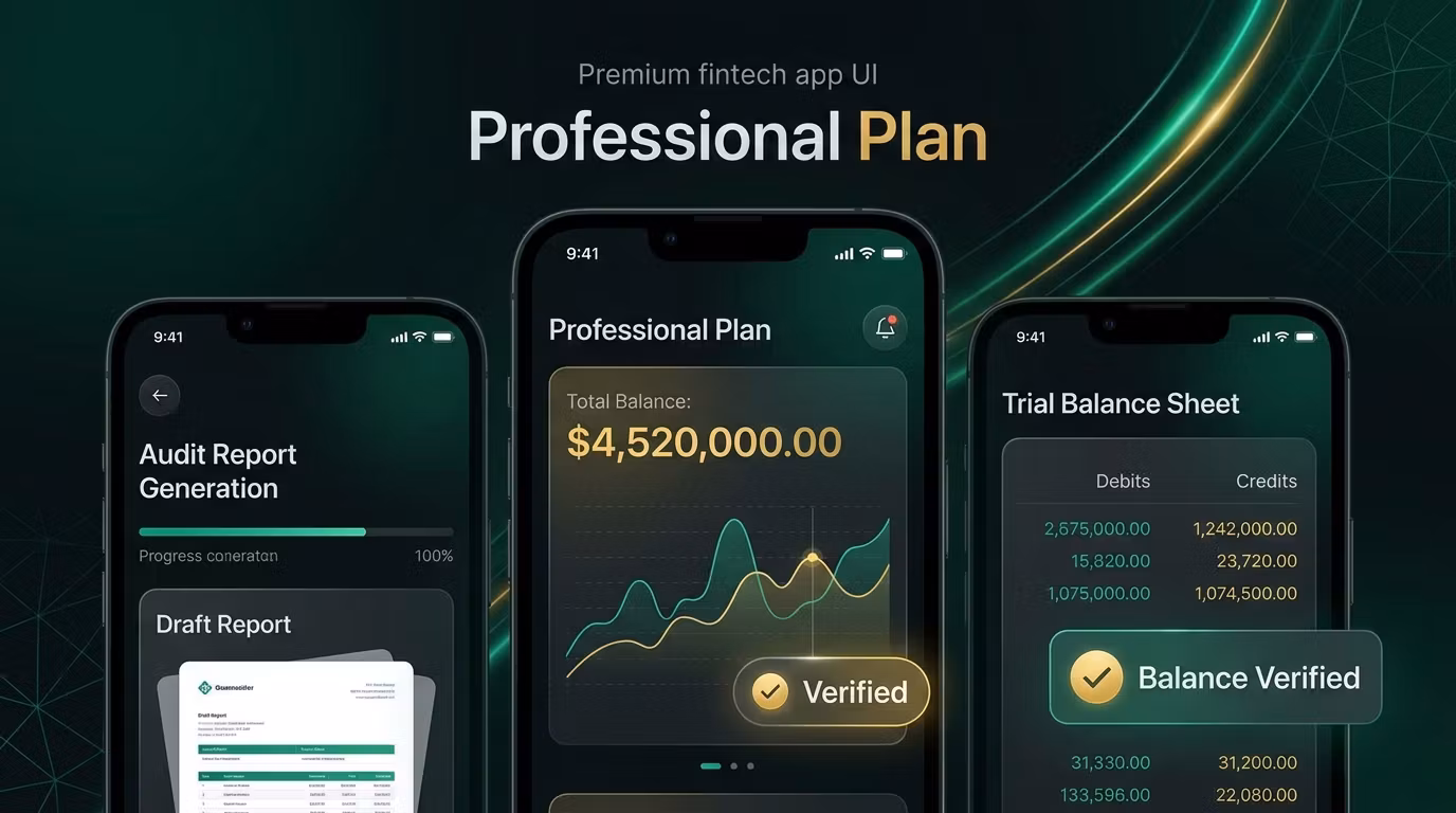 Professional Plan