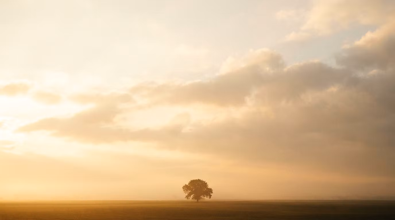 Rooted in Christ
