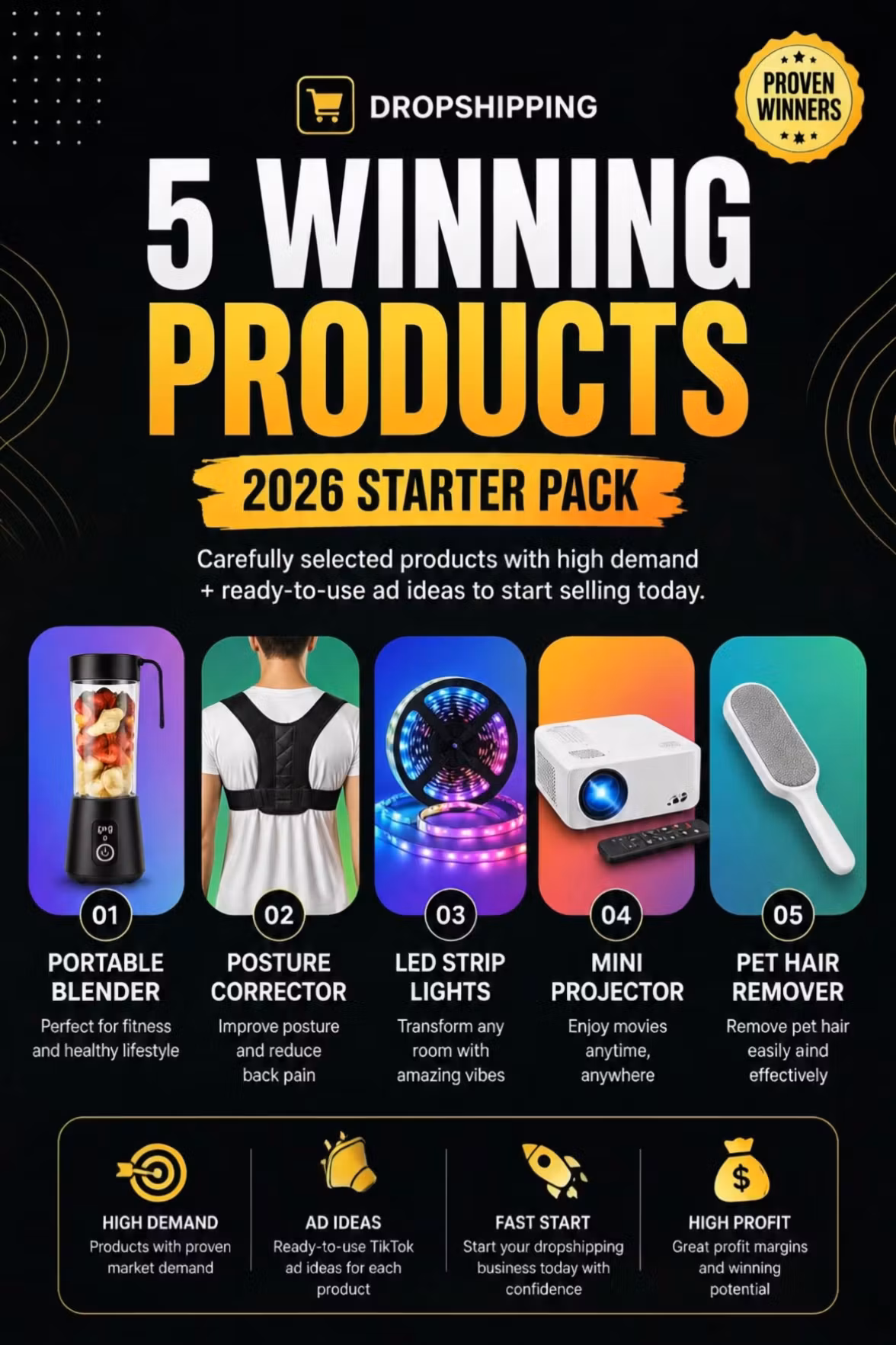 5 Winning Dropshipping Product