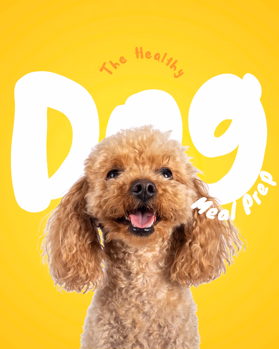 The Healthy Dog Meal Prep Guide