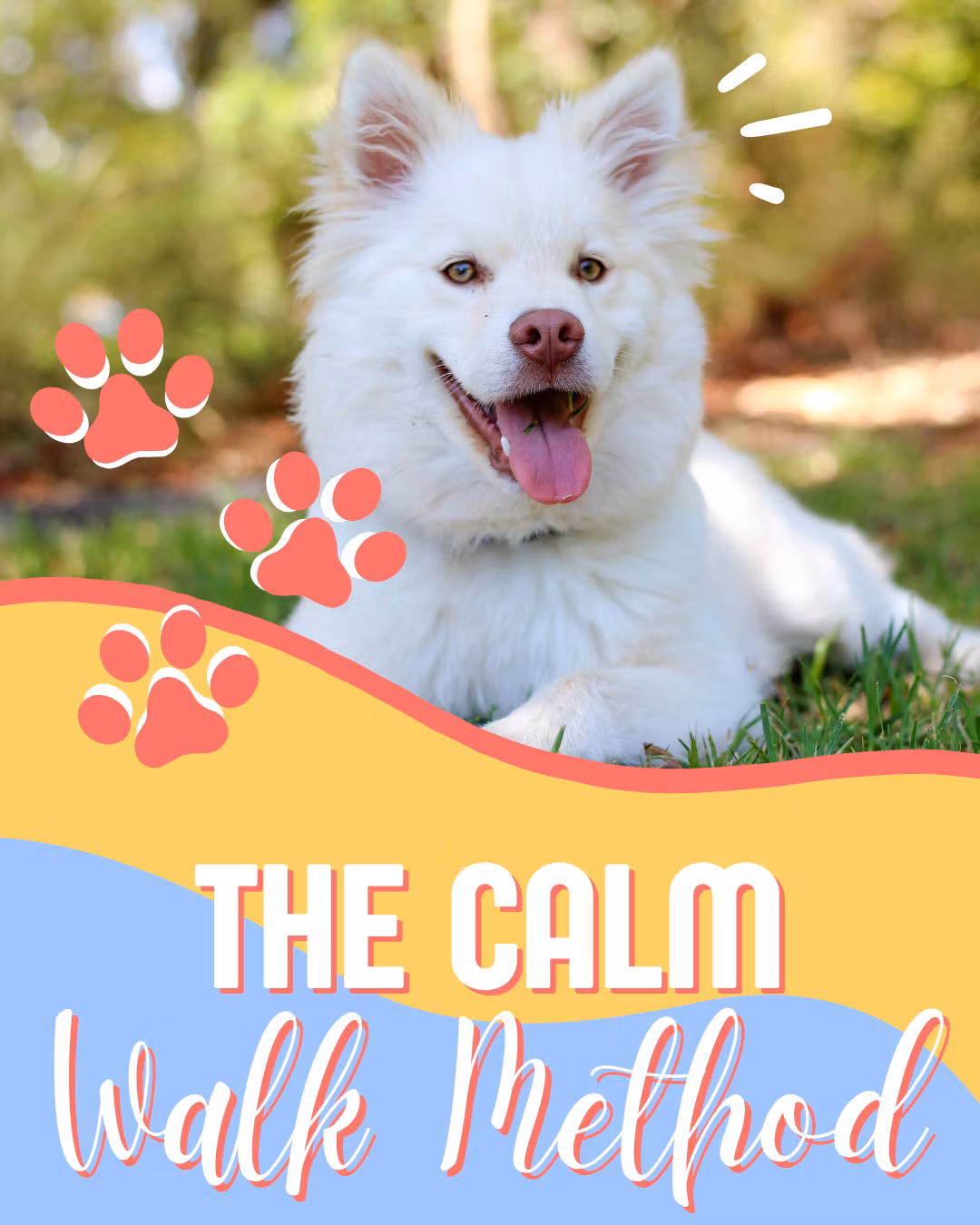 The Calm Walk Method
