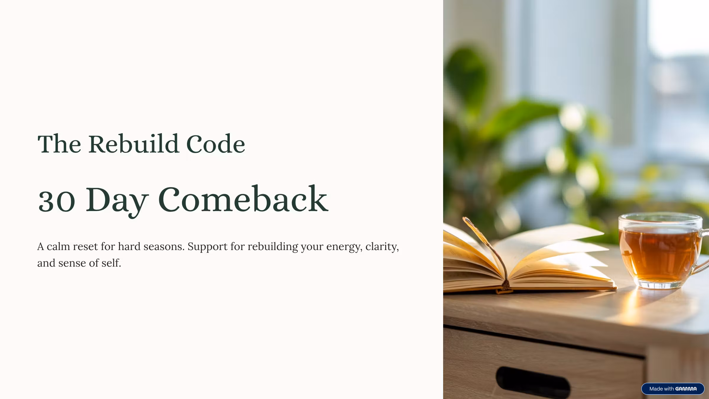 The Rebuild Code