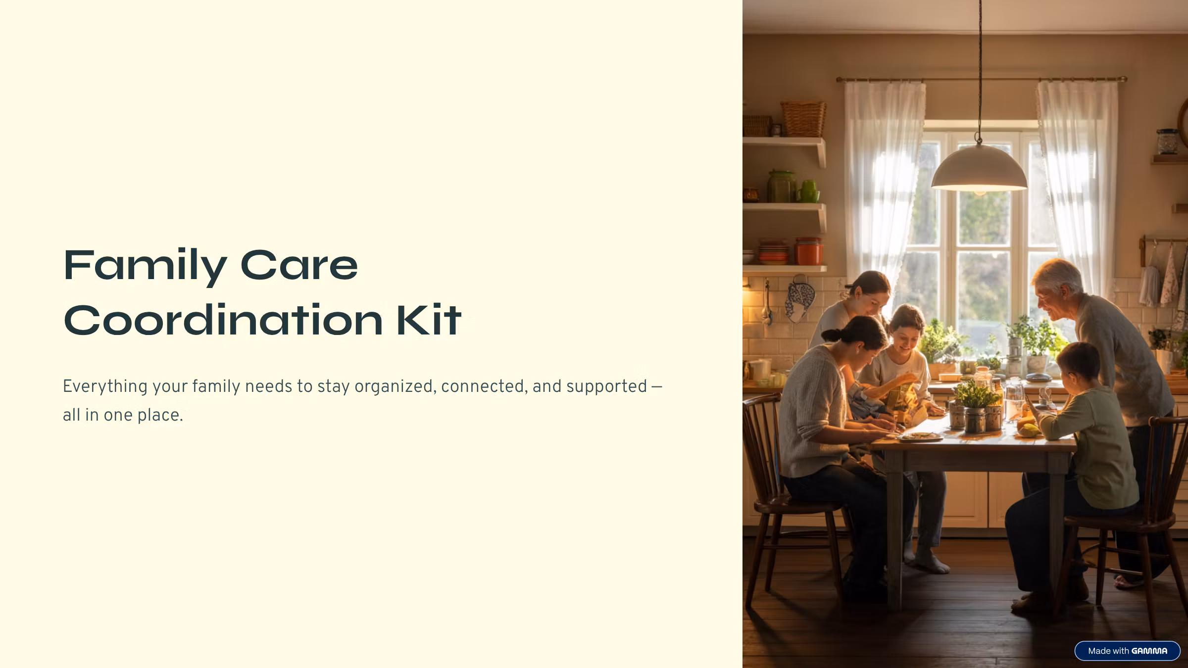 Family Care Coordination Kit