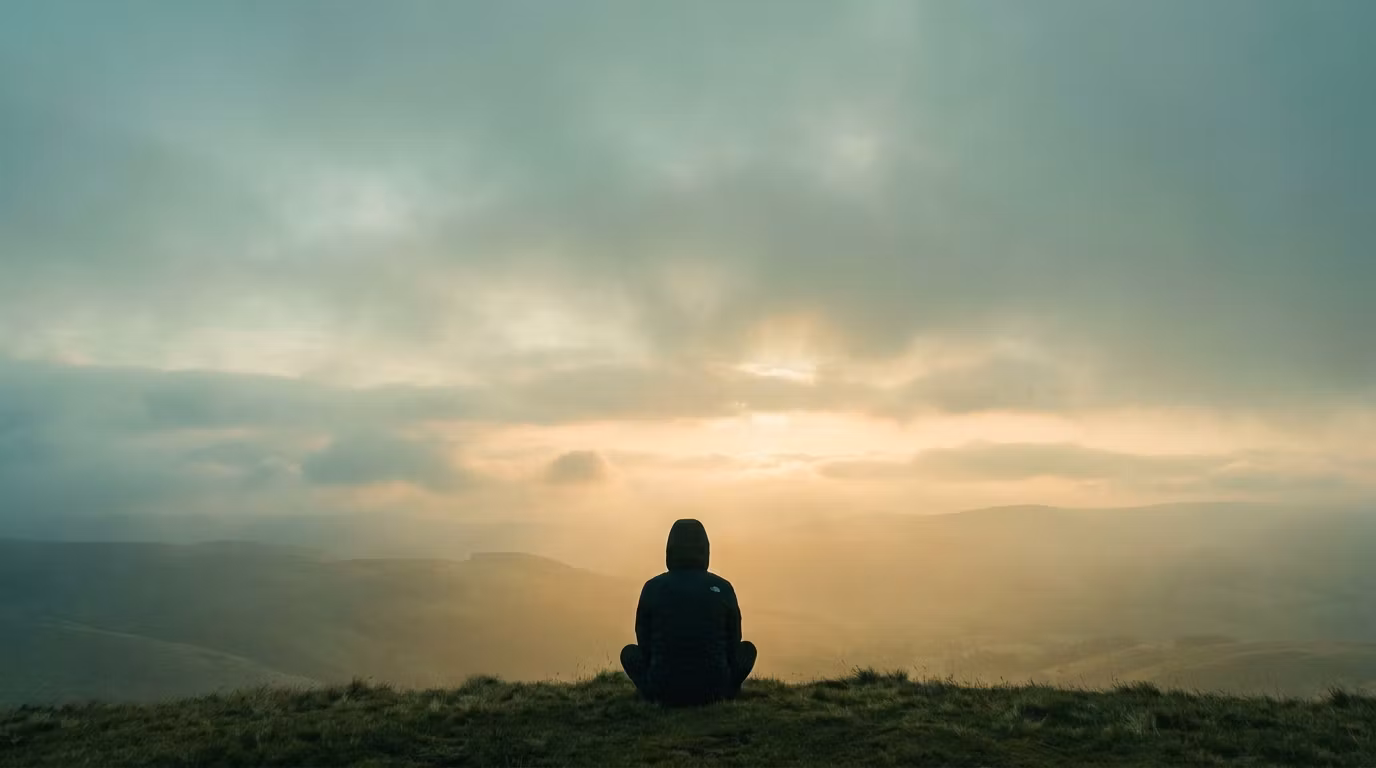 The Quiet Revolution eBook