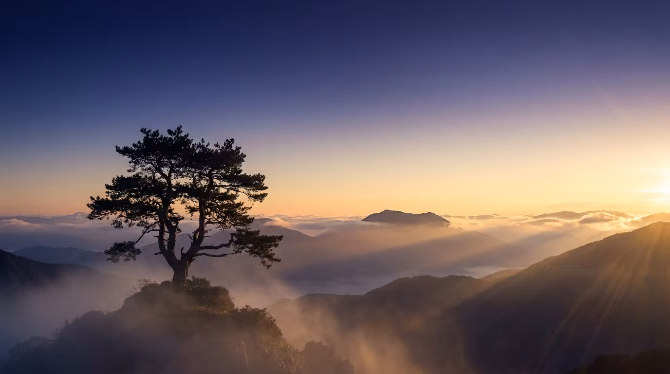 SoulPath Coaching Collective
