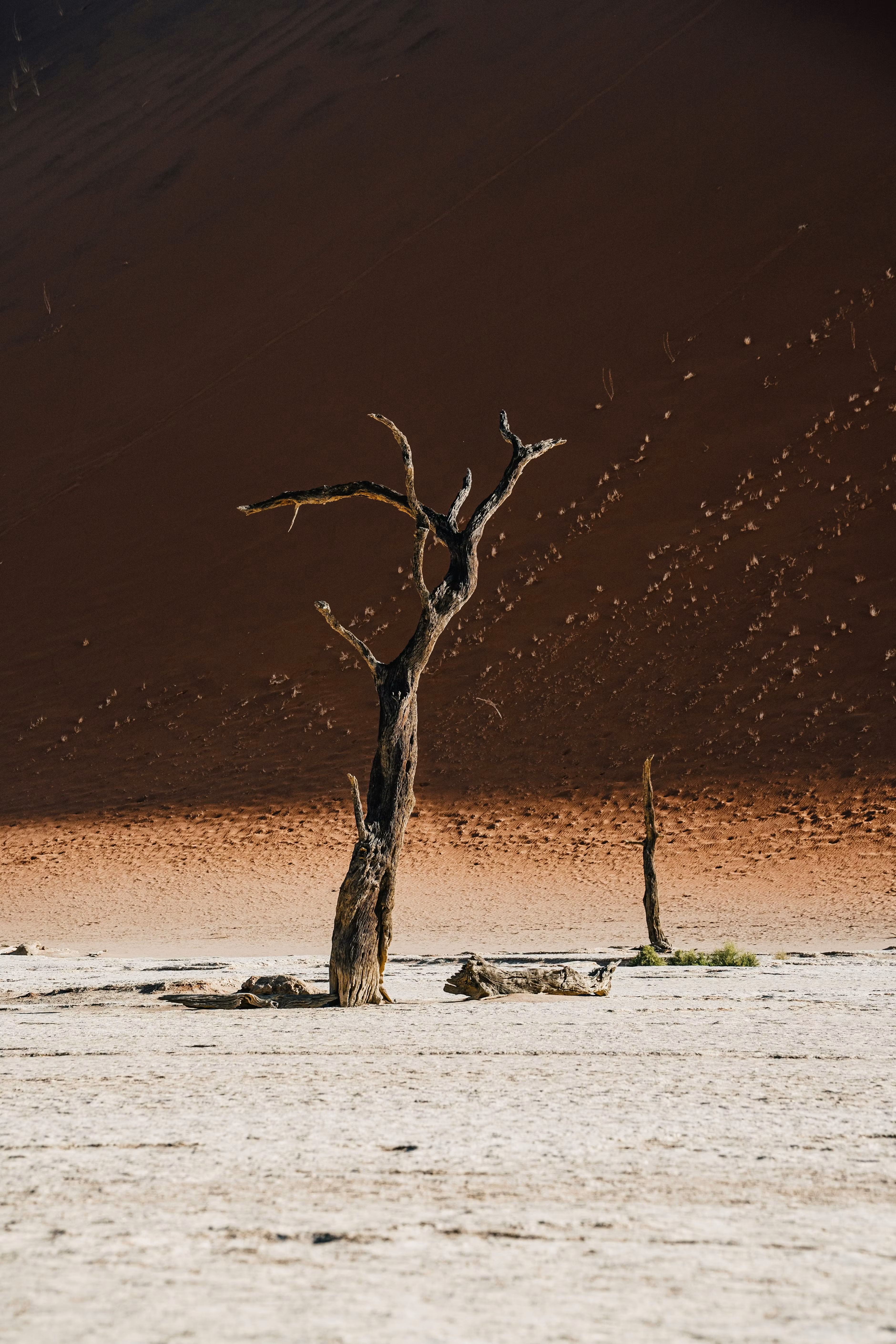 Photography basics
