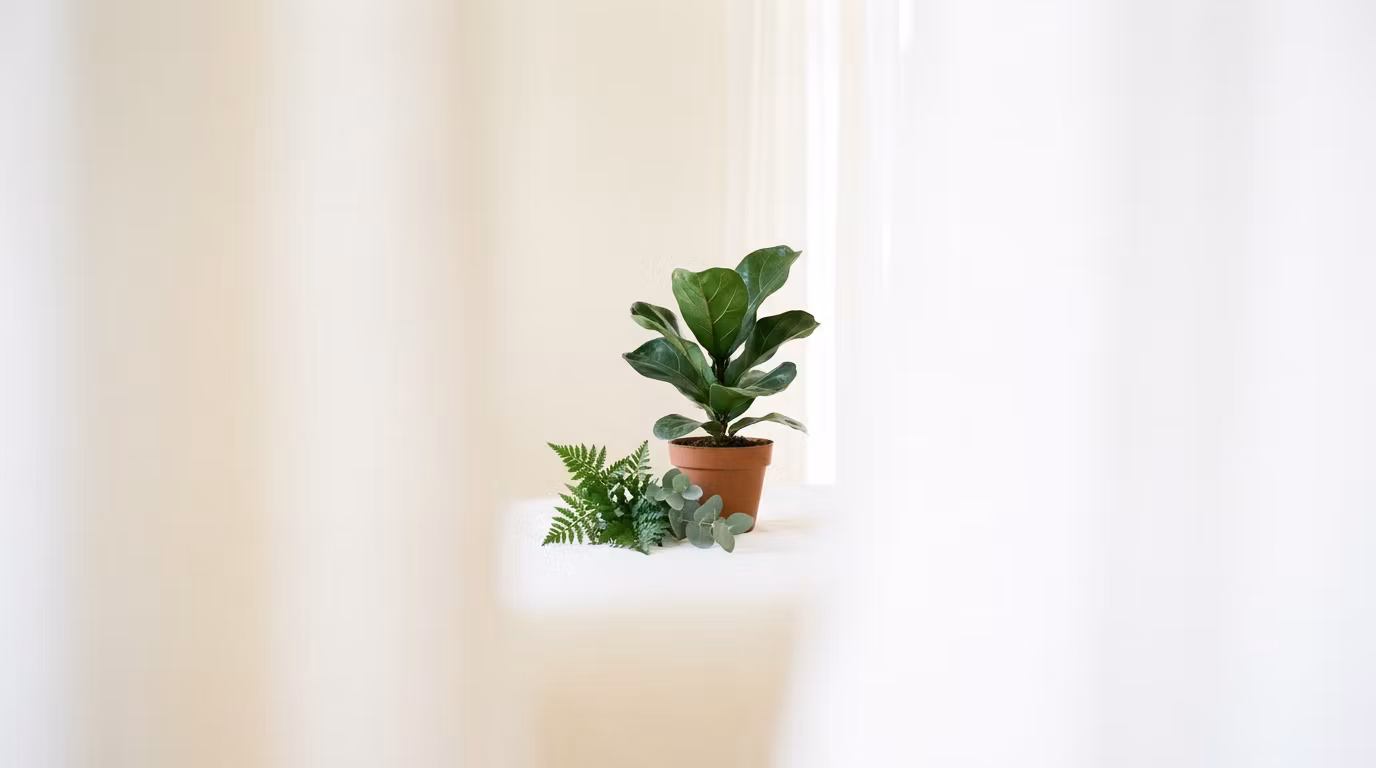 The Eco Edit