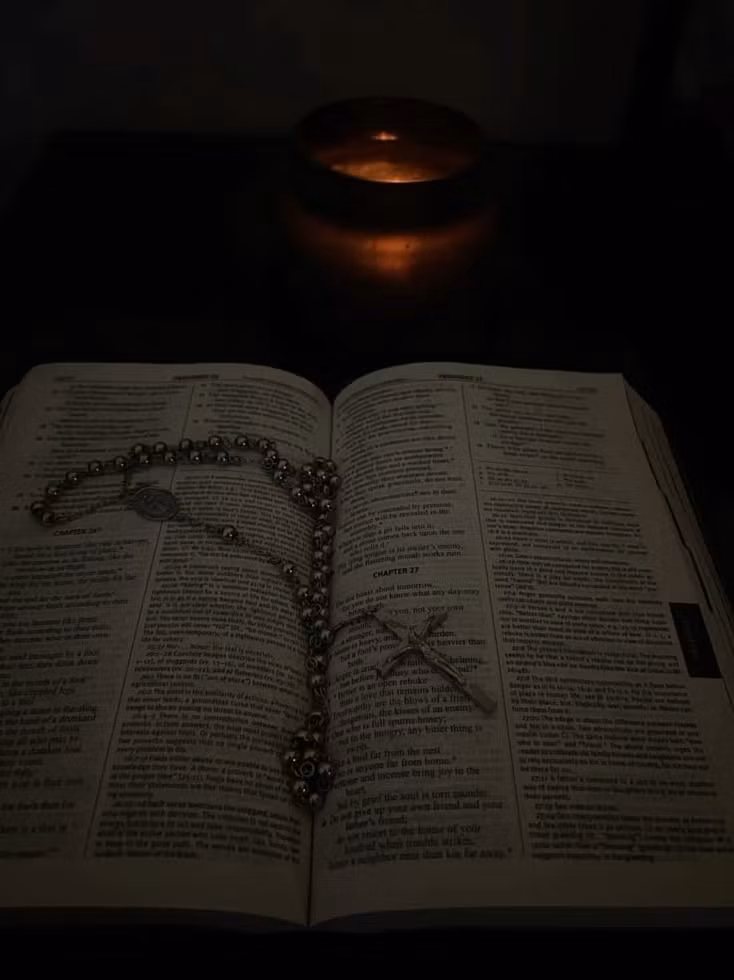 bible study for beginners 
