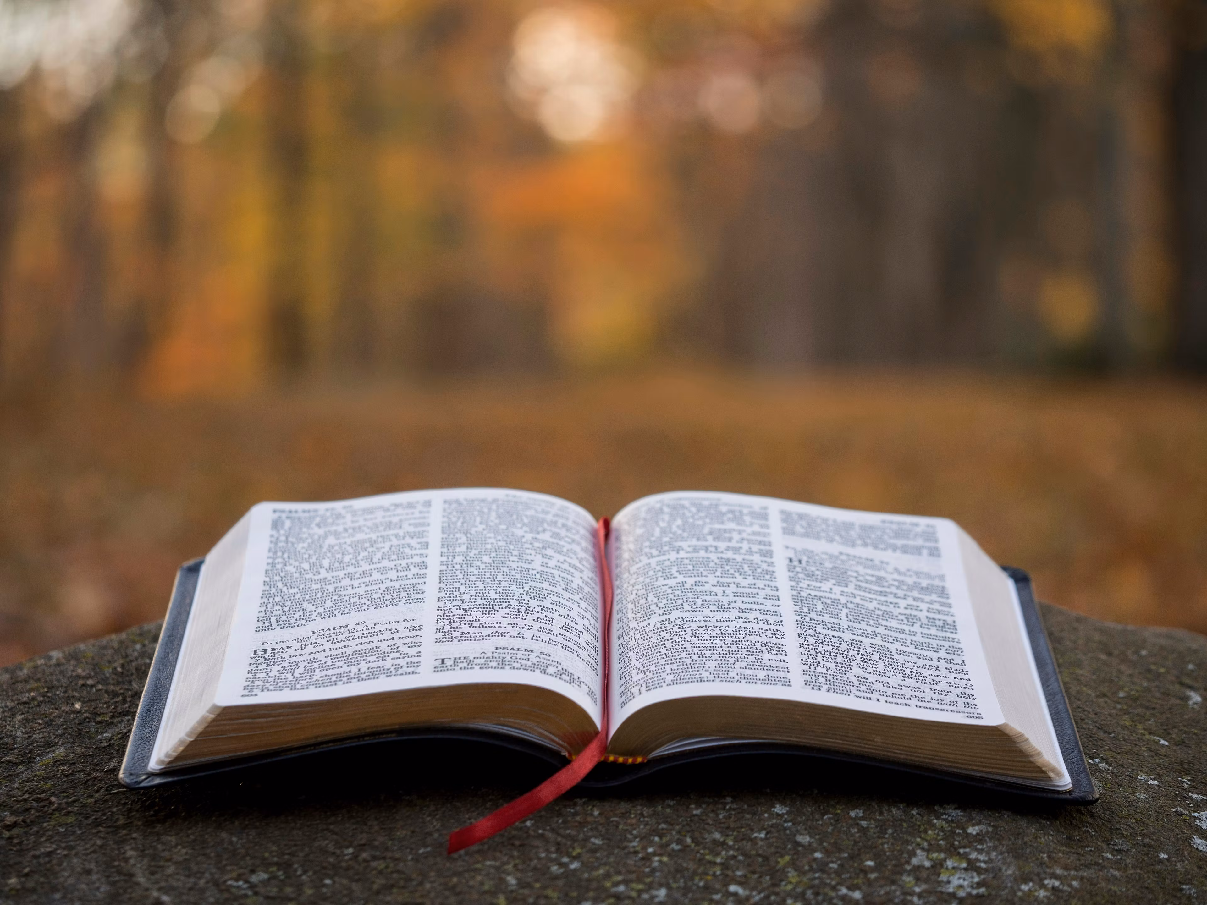 Bible study 