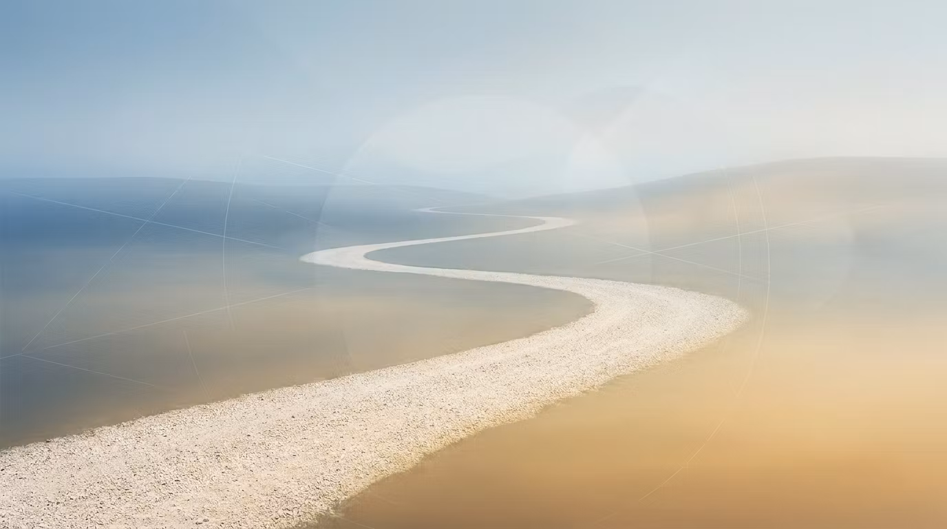 Career Path Guide