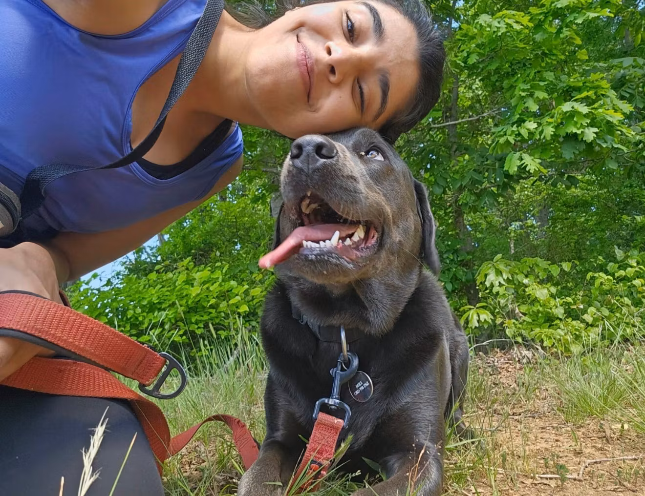 Reactive Dog Reset Plan