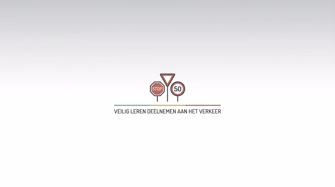 Verkeersregels Voor Volwassenen