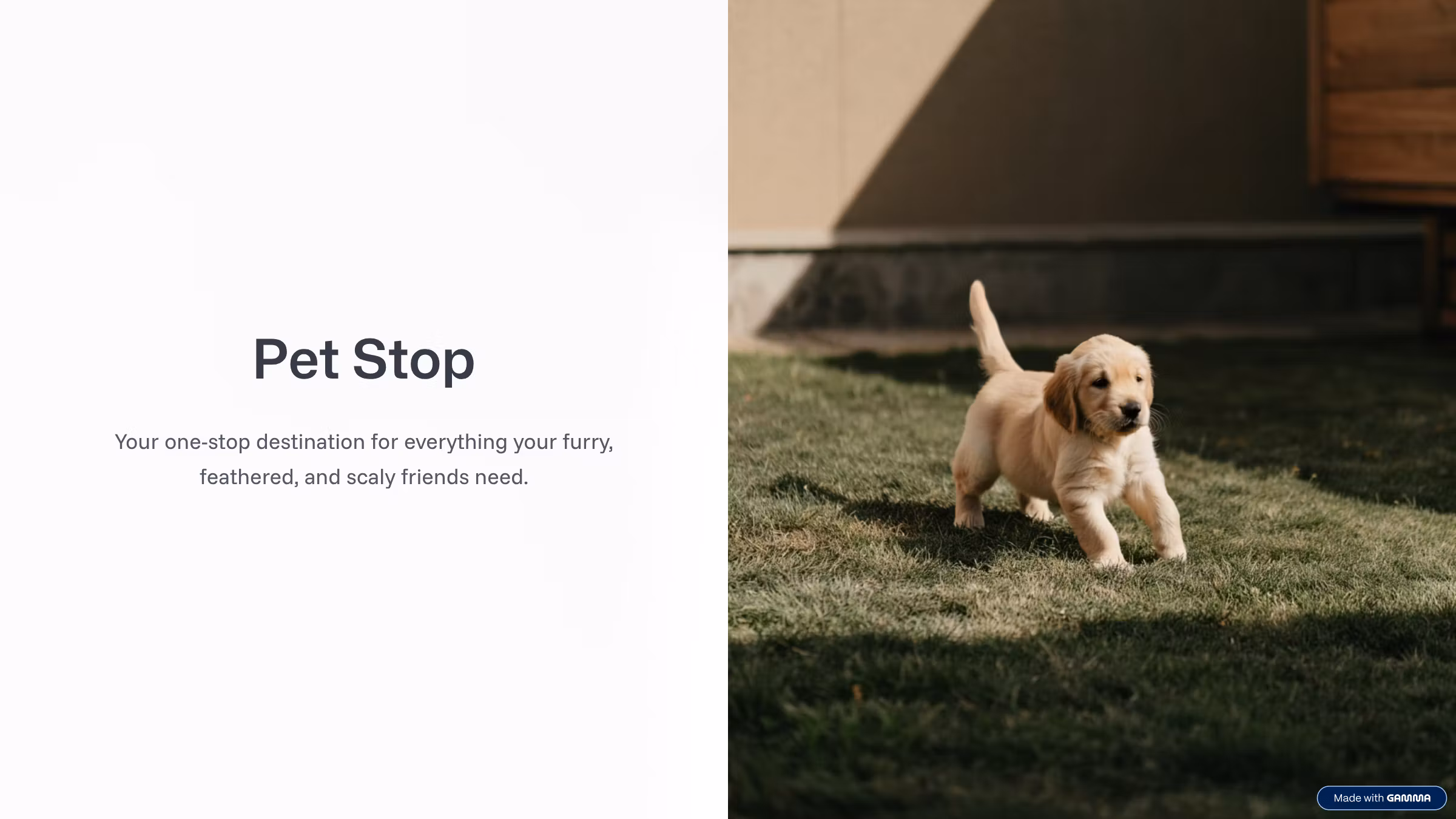 Pet Stop