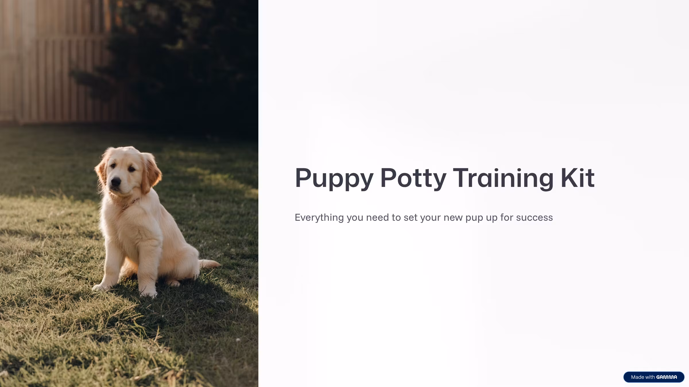 Puppy Potty Training Kit