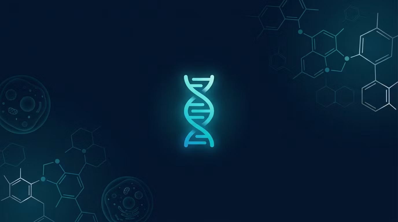 The Wellness Blueprint