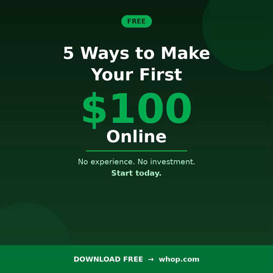 The Beginner Hustle System